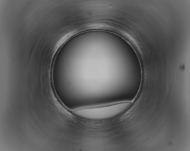 X0000090991330200708021155