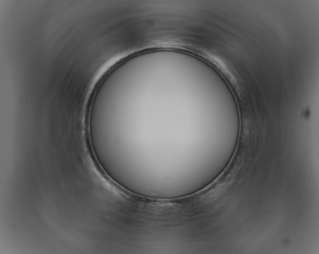 X0000090991331200708021155