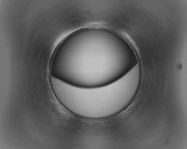 X0000090991336200708021155