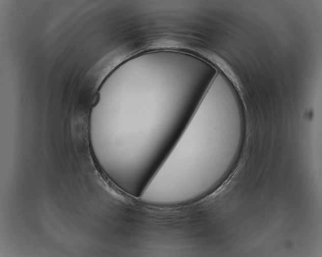 X0000090991337200708021155