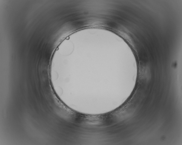 X0000090991338200708021155