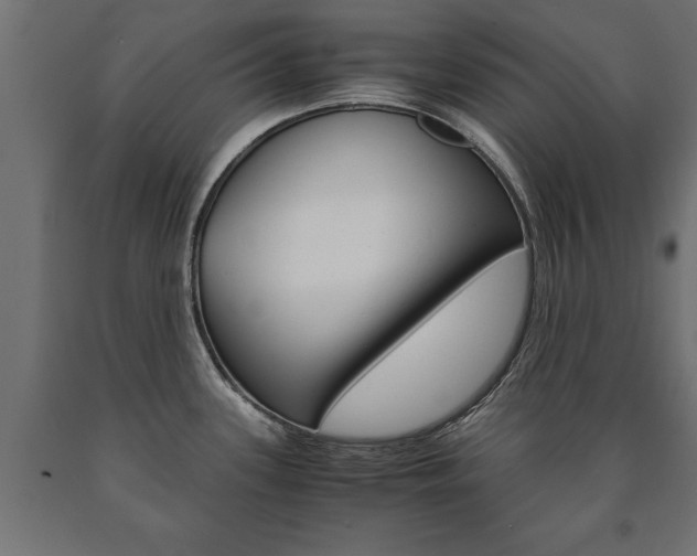 X0000090991339200708021155