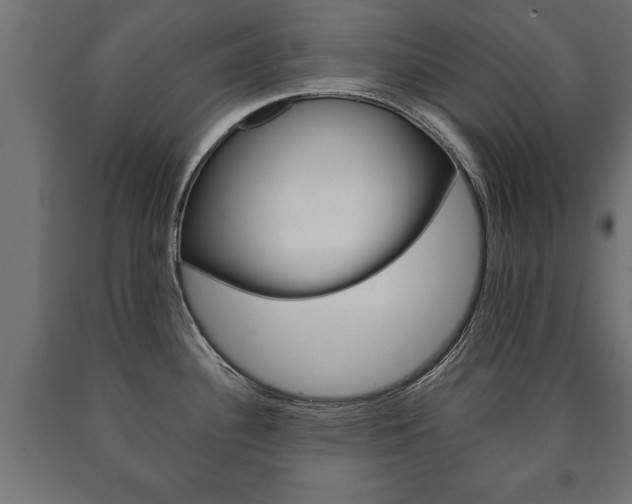 X0000090991340200708021155