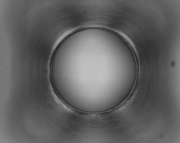 X0000090991341200708021155
