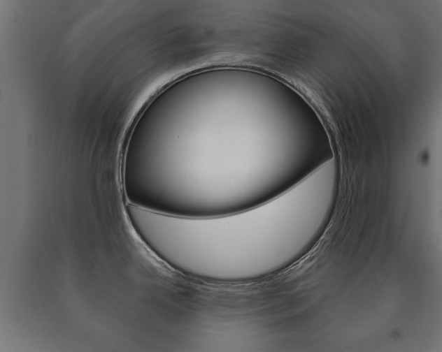 X0000090991342200708021155
