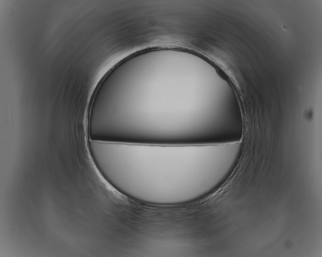 X0000090991343200708021155