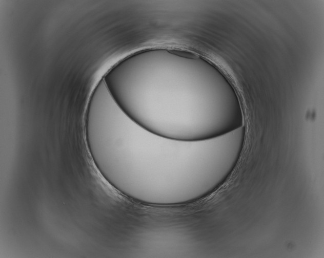 X0000090991344200708021155
