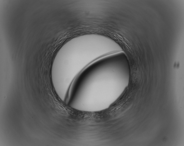 X0000090991345200708021154