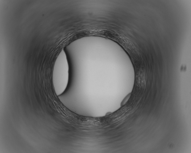 X0000090991346200708021154