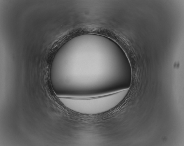 X0000090991349200708021154