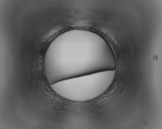 X0000090991350200708021154