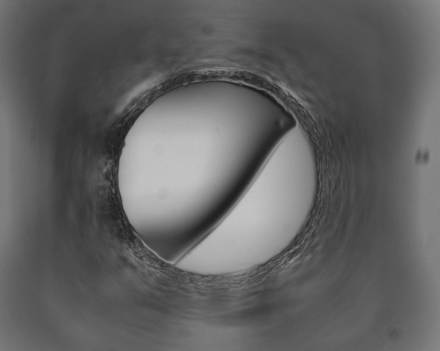 X0000090991351200708021154