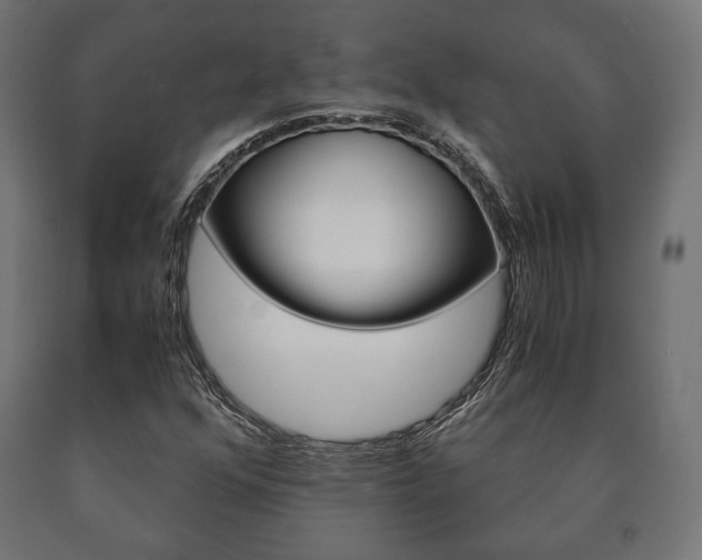 X0000090991352200708021154