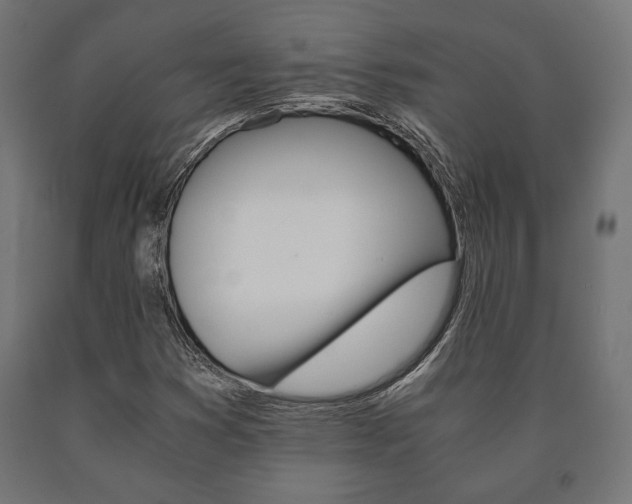 X0000090991353200708021154