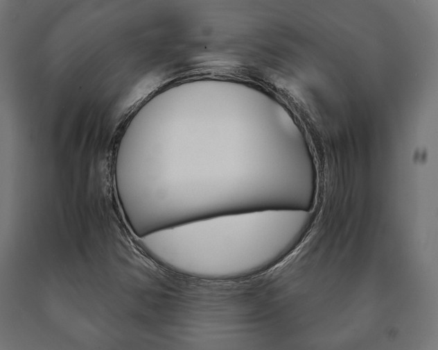 X0000090991354200708021154
