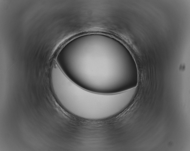 X0000090991356200708021154