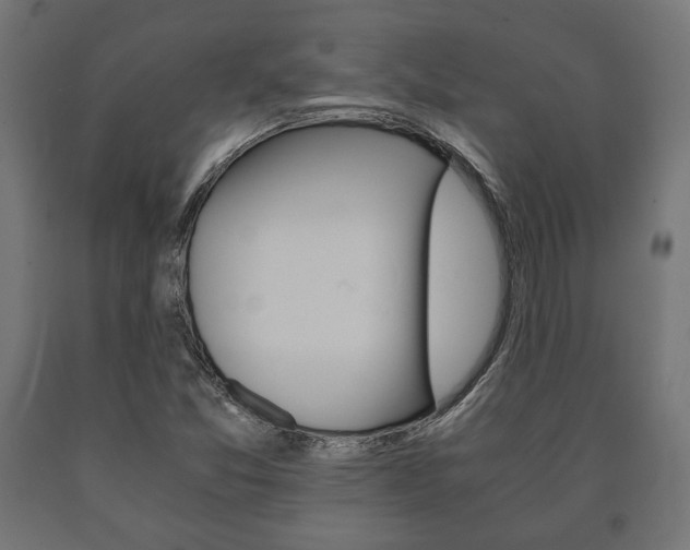 X0000090991357200708021154