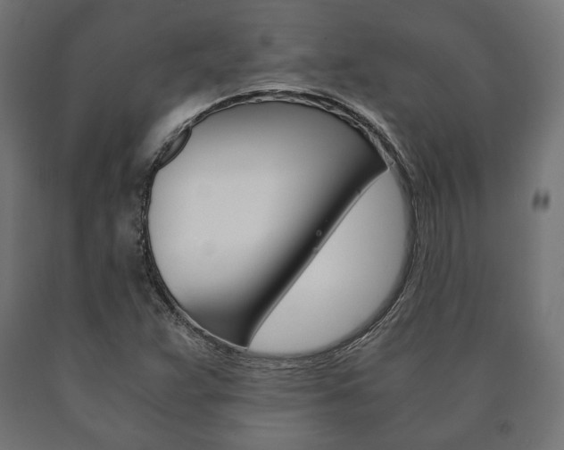 X0000090991359200708021154
