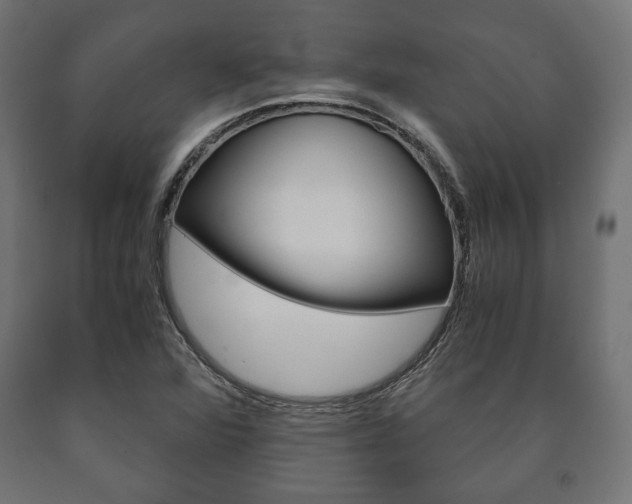 X0000090991360200708021154