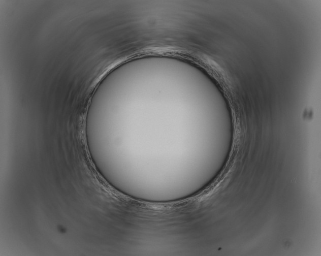 X0000090991361200708021154