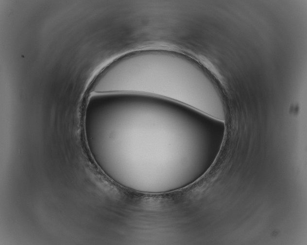X0000090991364200708021154