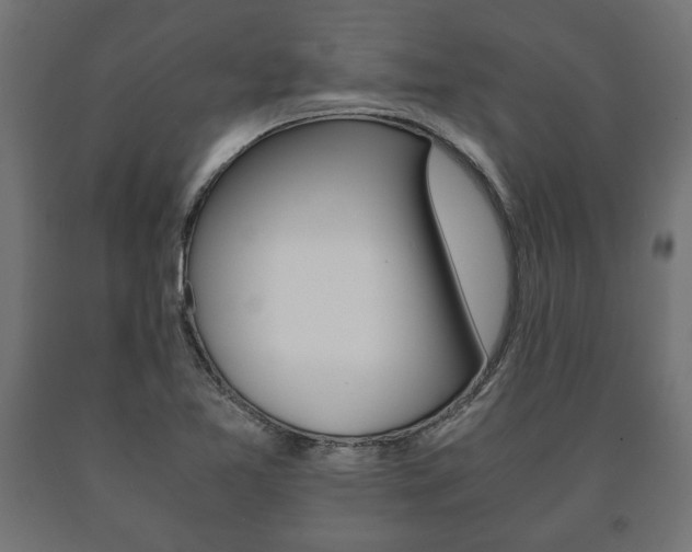 X0000090991365200708021154