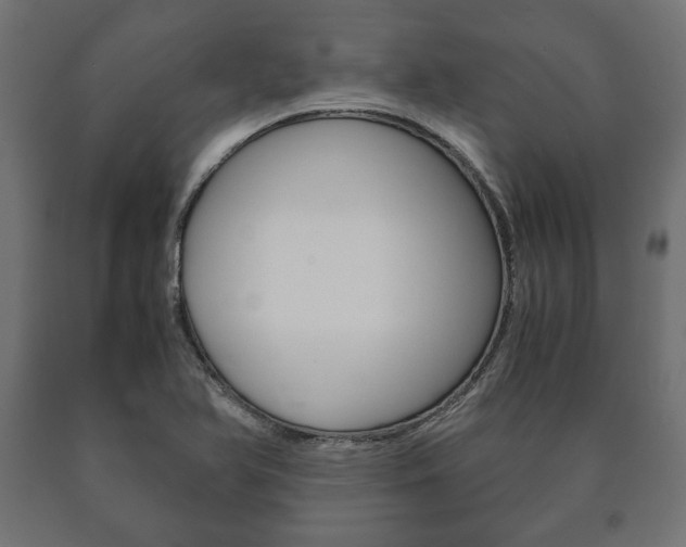 X0000090991366200708021154