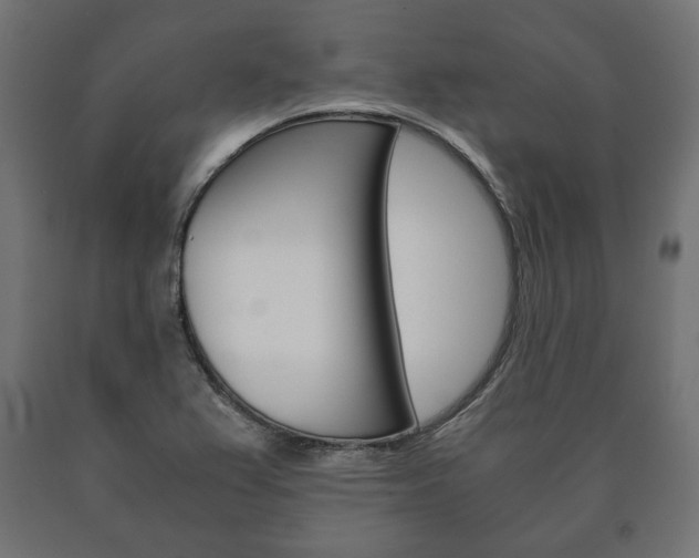 X0000090991367200708021154