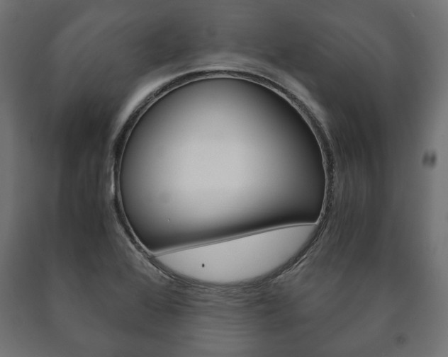 X0000090991368200708021154