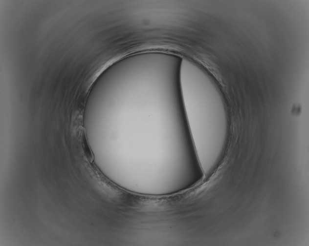 X0000090991369200708021154