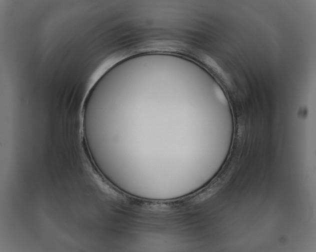 X0000090991370200708021154