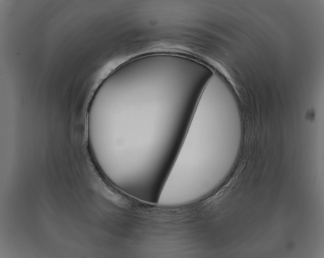 X0000090991371200708021154