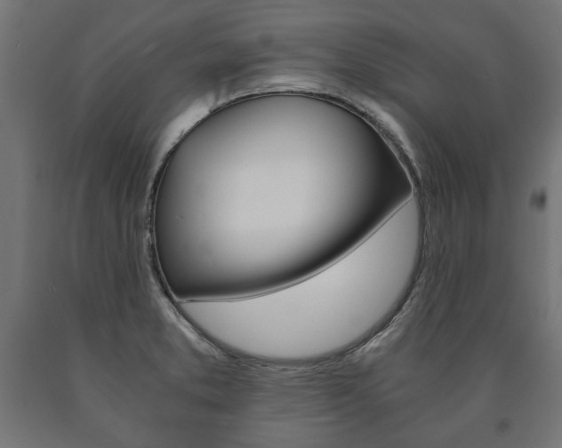 X0000090991373200708021154
