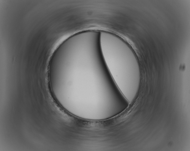 X0000090991375200708021154