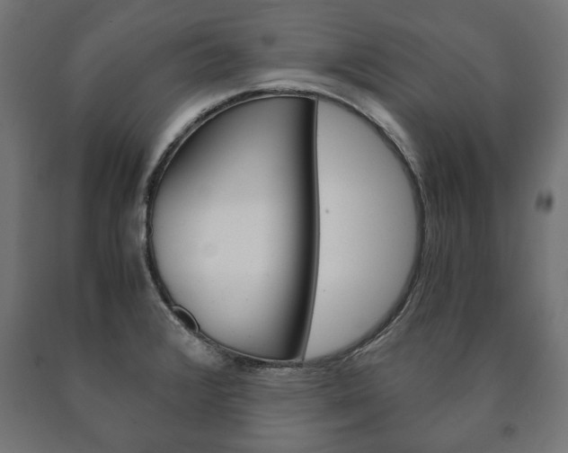 X0000090991376200708021154