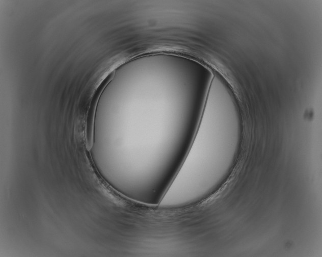 X0000090991377200708021154