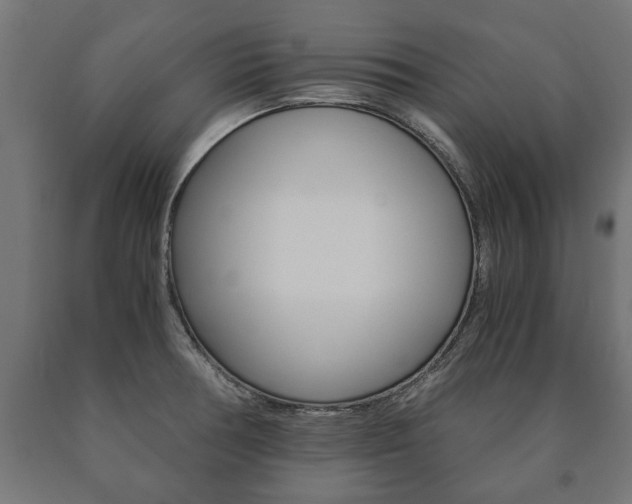 X0000090991378200708021154