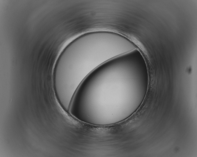X0000090991380200708021153