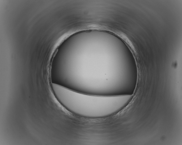 X0000090991381200708021153