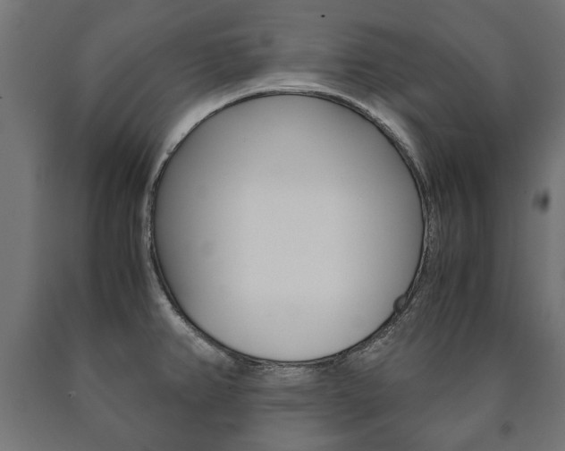 X0000090991382200708021153