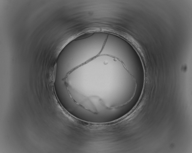 X0000090991385200708021153