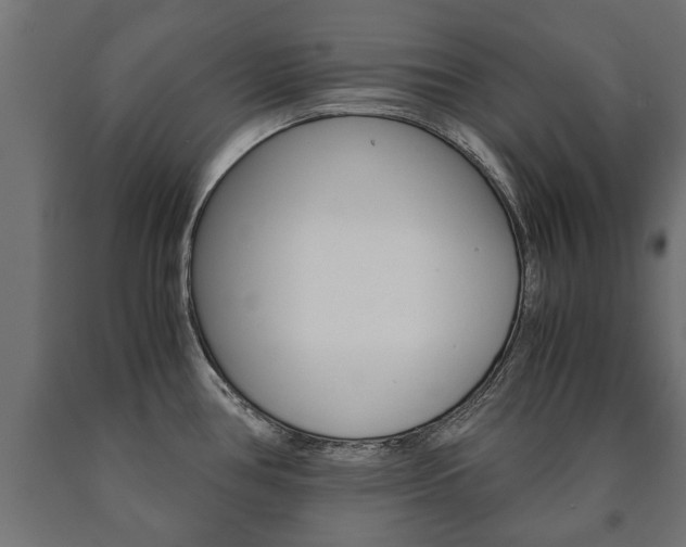 X0000090991386200708021153