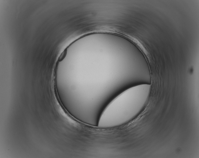 X0000090991387200708021153