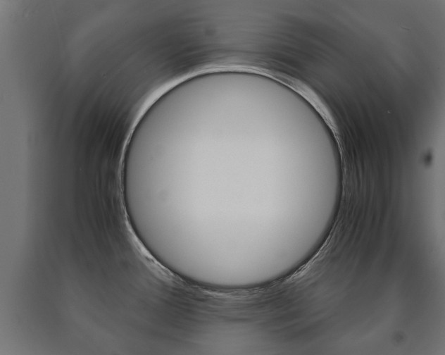 X0000090991388200708021153