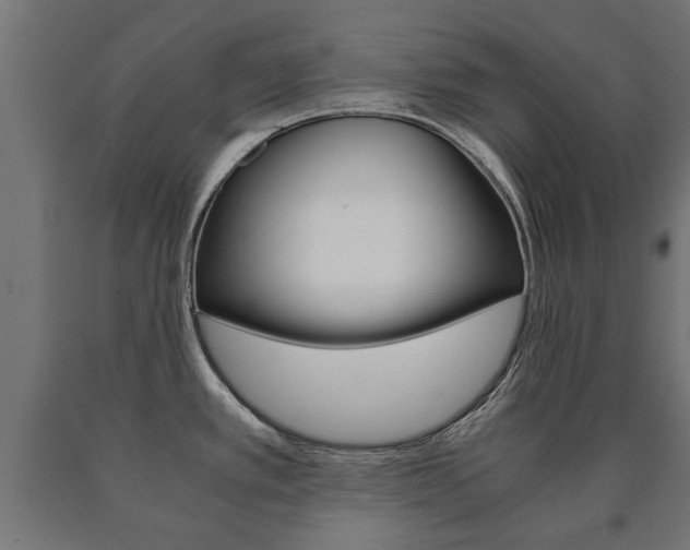 X0000090991389200708021153