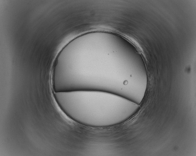 X0000090991391200708021153