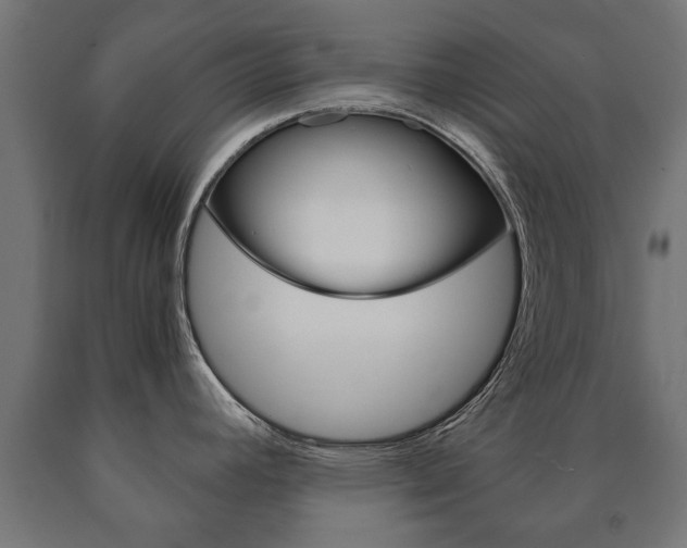 X0000090991392200708021153