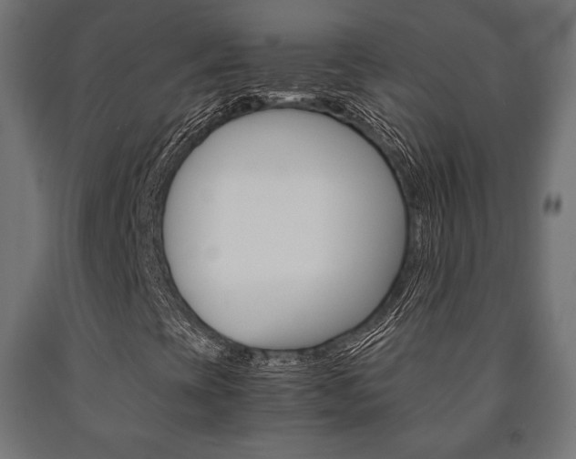 X0000090991393200708021153