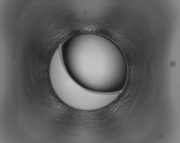 X0000090991394200708021153