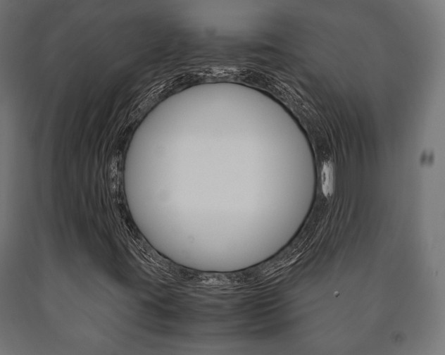 X0000090991395200708021153